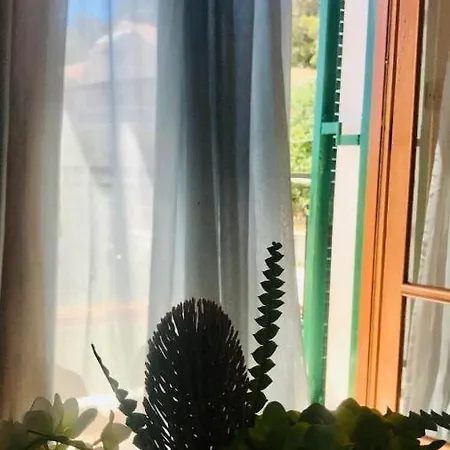 Barbara's One Bedroom Apartment