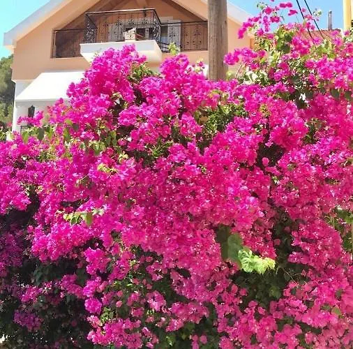 Barbara's One Bedroom *